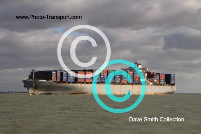 AKINADA BRIDGE - Container