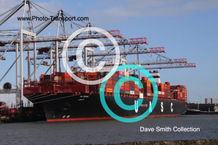 AL DHAIL  - Container