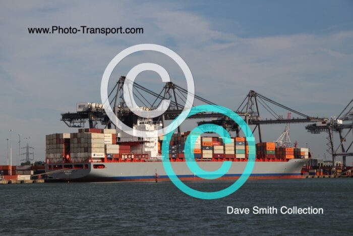 ALLISE P   -  Container