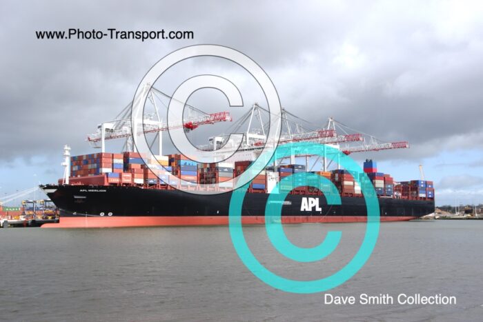APL MERLION  -  Container