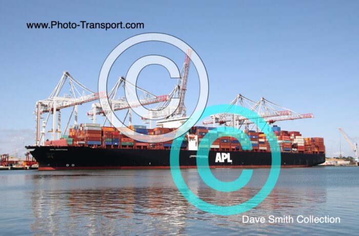 APL SENTOSA  -  Container