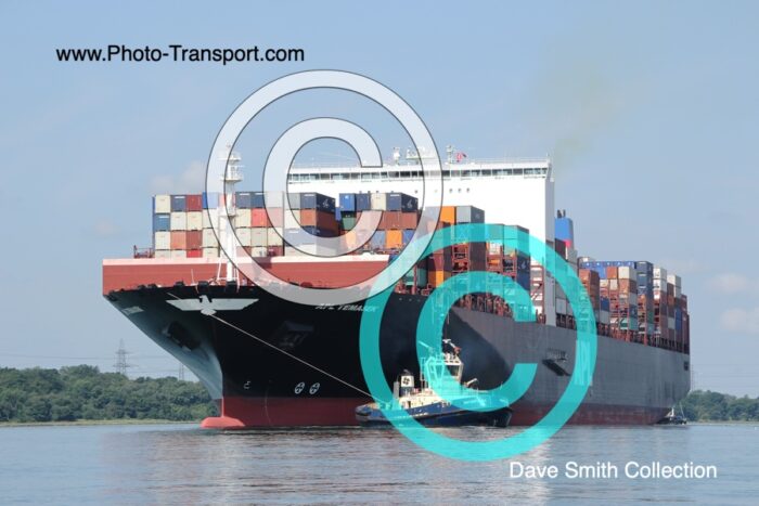 APL TEMASEK  -  Container