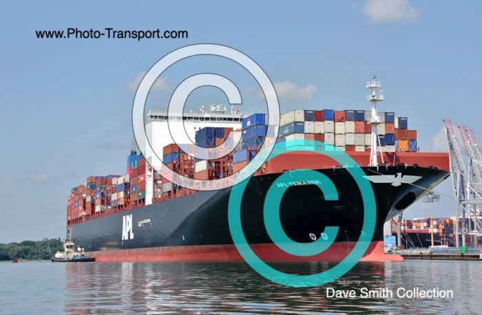 APL TEMASEK  -  Container
