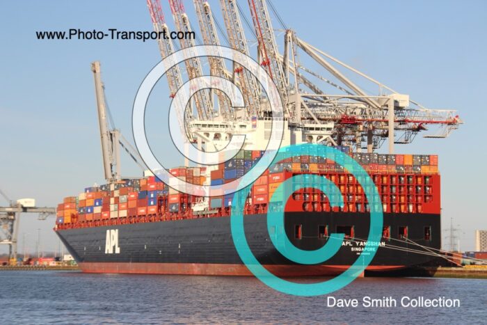 APL YANGSHAN  -  Container