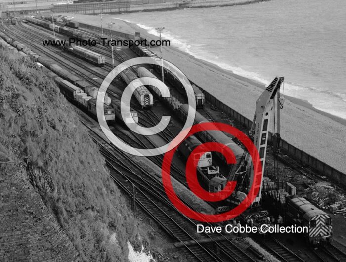 DOVER WARREN SCENE