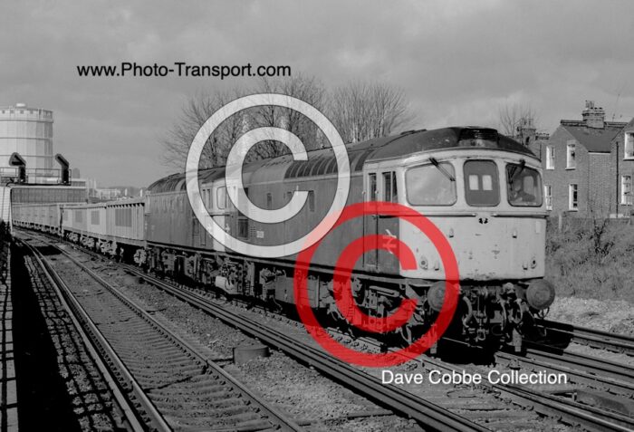 CLASS 33 No.33039 & 33XXX 