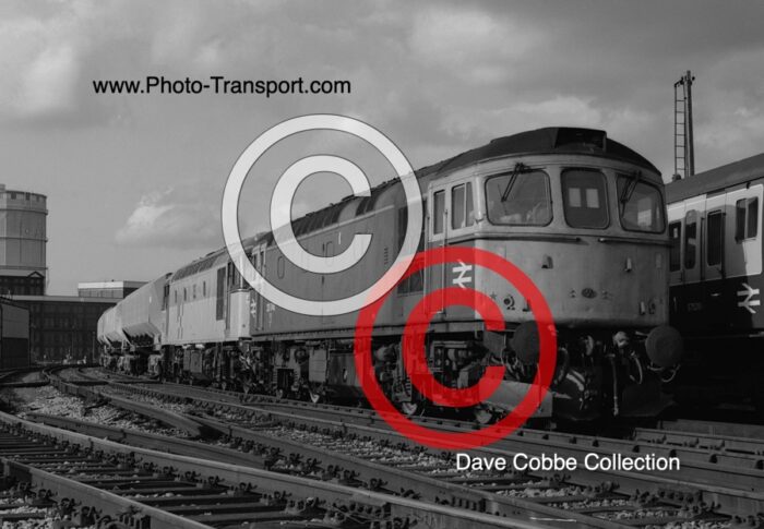 CLASS 33 No.33049 & 33XXX