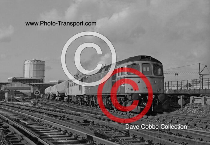 CLASS 33 No.33049 & 33XXX