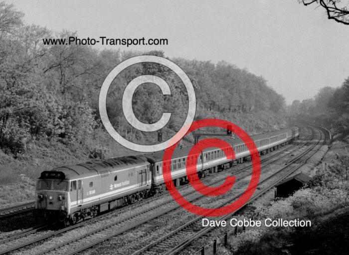 CLASS 33 No.33101