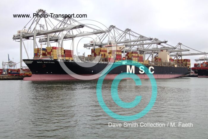 MSC BETTINA - Container