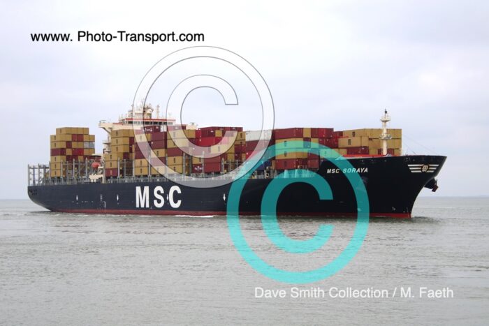 MSC SORAYA - Container