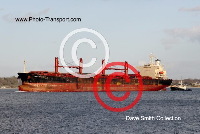 BULK TRIDENT - Bulk Carrier