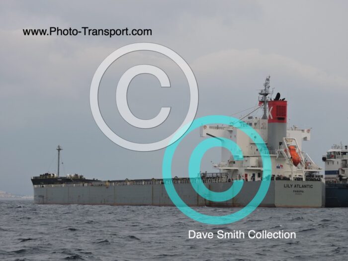 LILY ATLANTIC  - Bulk Carrier