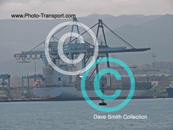 SAFMARINE CAMEROUN - Container