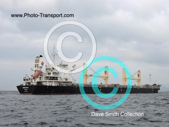 STRATEGIC ENDEAVOR - Bulk Carrier
