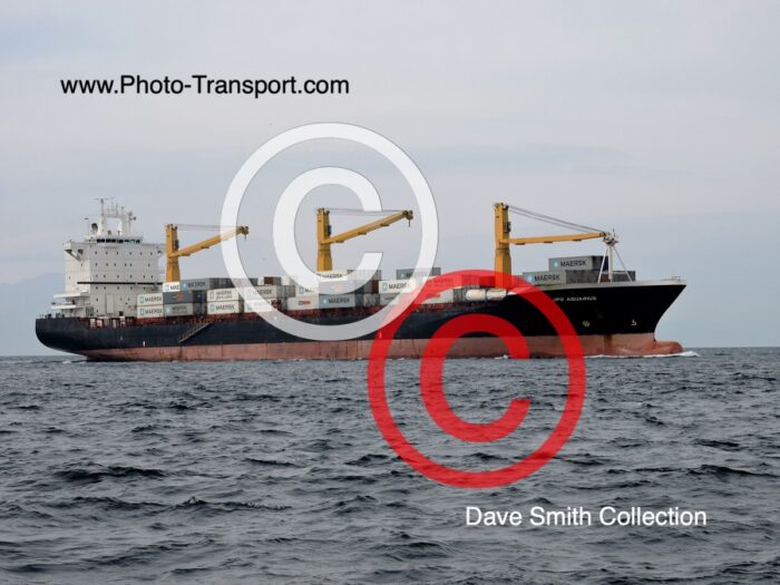 JPO AQUARIUS - Container