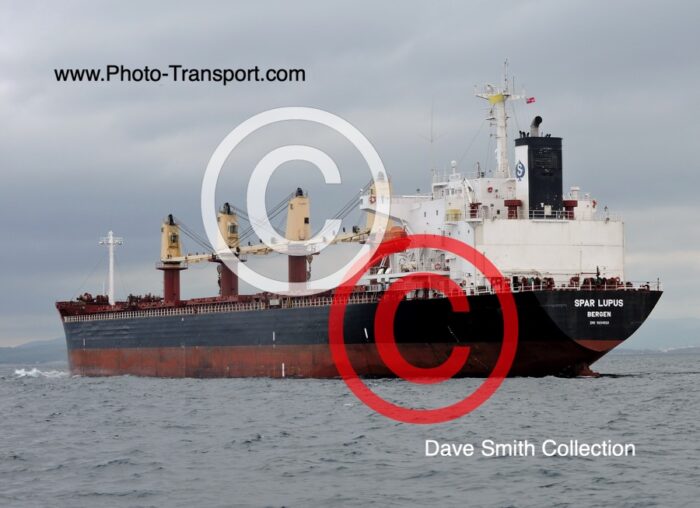 SPAR LUPUS - Bulk Carrier