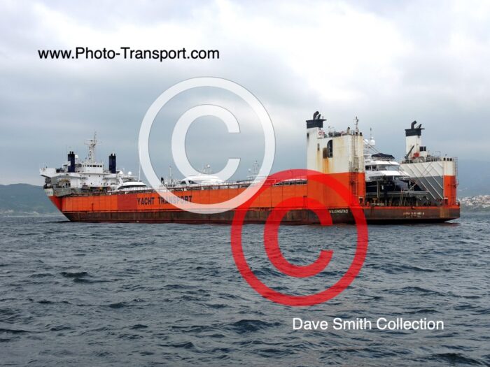 SUPER SERVANT 4 - Heavy Load Carrier