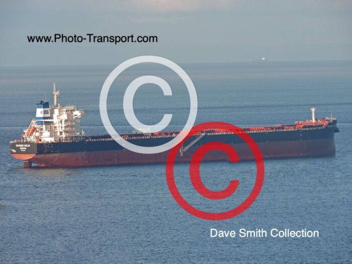 DIAMOND OCEAN  - Bulk Carrier