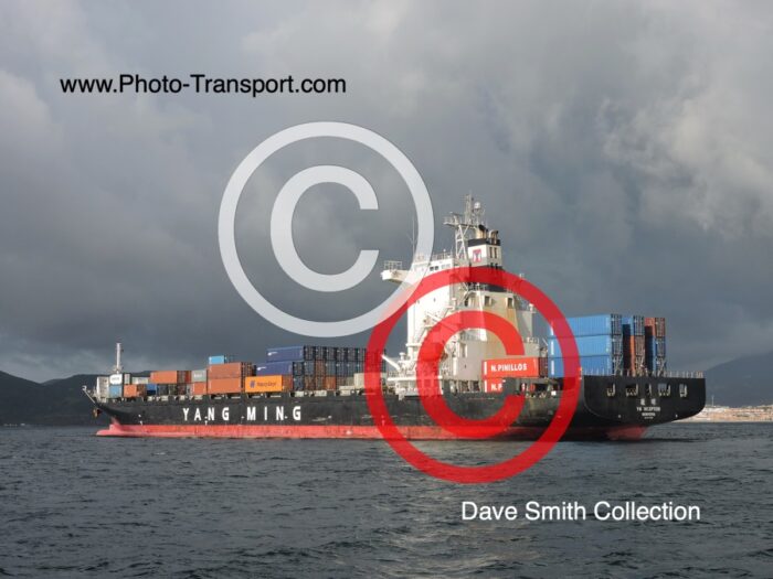 YM INCEPTION - Container