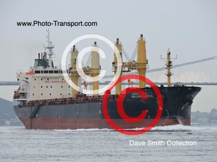MALLIKA NAREE - Bulk Carrier
