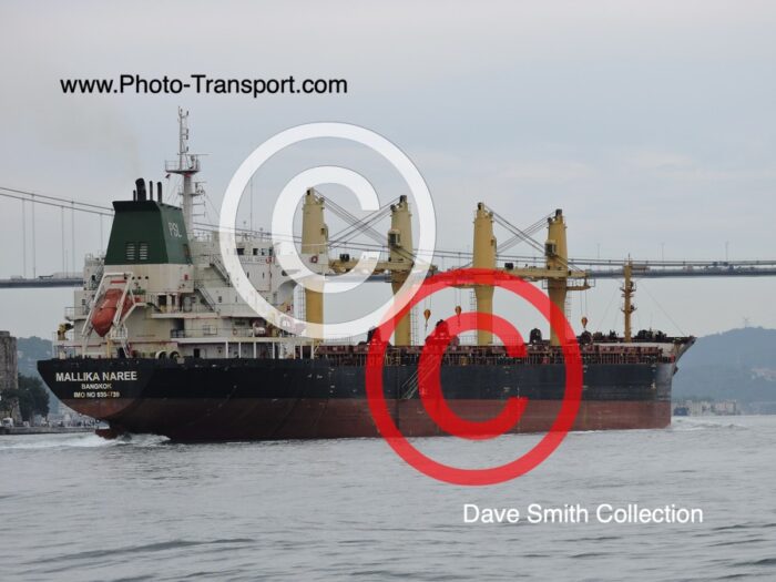 MALLIKA NAREE - Bulk Carrier