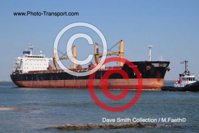 PLATON - Bulk Carrier