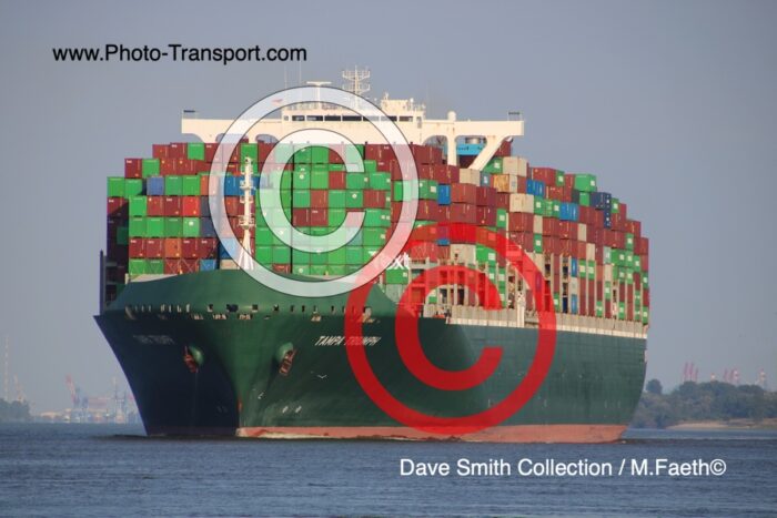 TAMPA TRIUMPH - Container