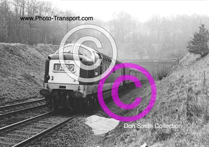 Deltic No.D9007  Pinza (IA22) 