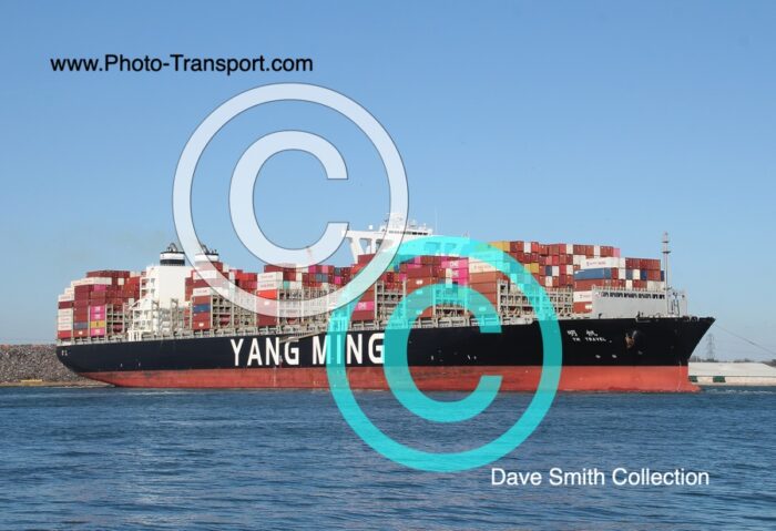 YM TRAVEL - Container