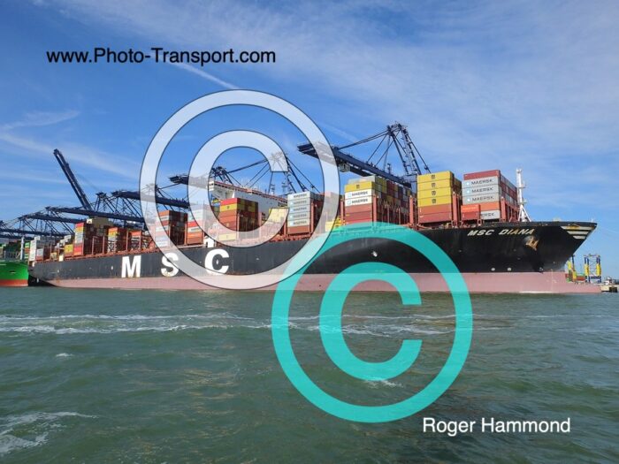 MSC DIANA - Container