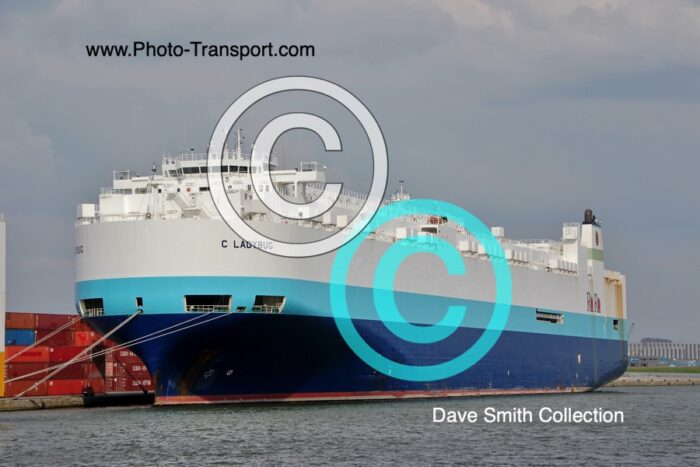 C.LADYBUG - Vehicle Carrier