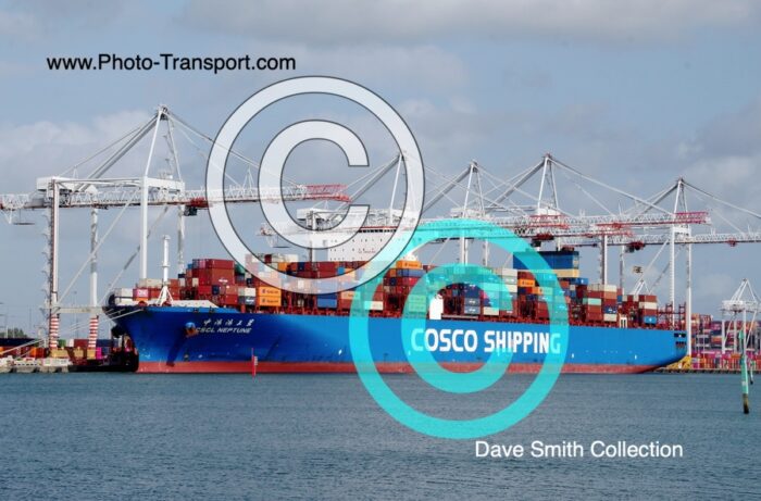 CSCL NEPTUNE  - Container