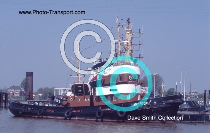 LANGEOOG  - Tug