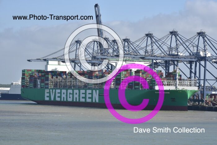 EVER ACME - Container