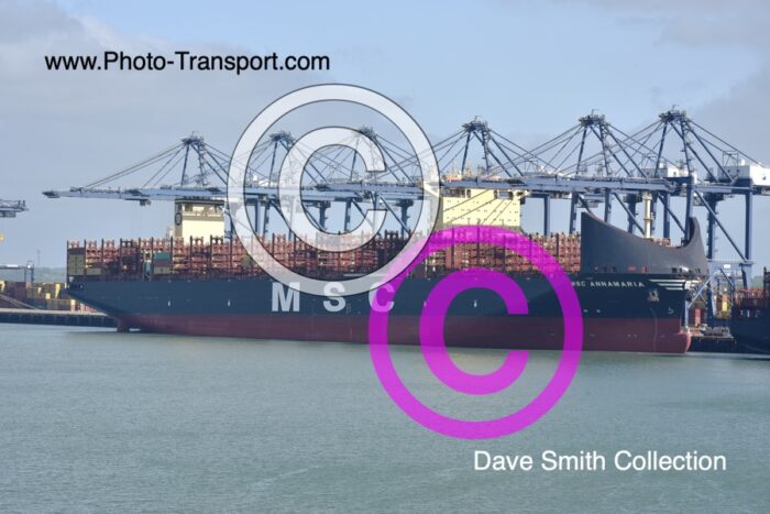 MSC ANNAMARIA  - Container
