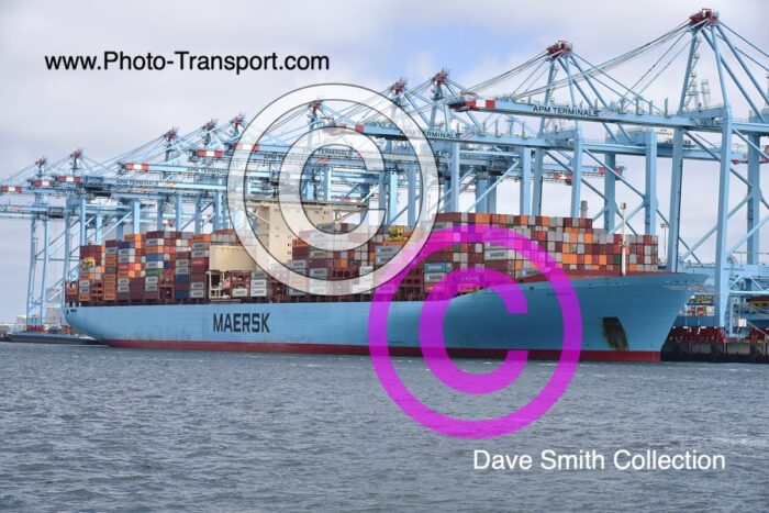 ELLY MAERSK  - Container