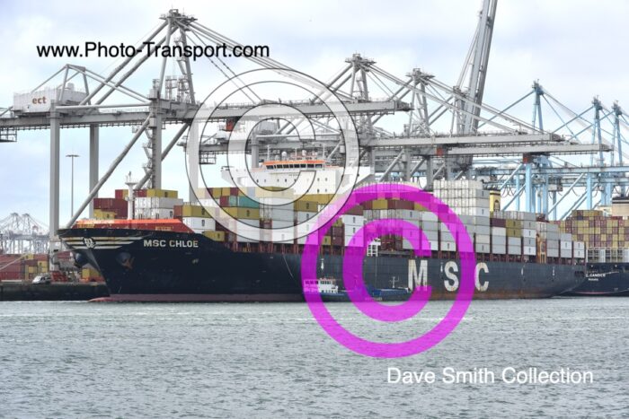 MSC CHLOE - Container