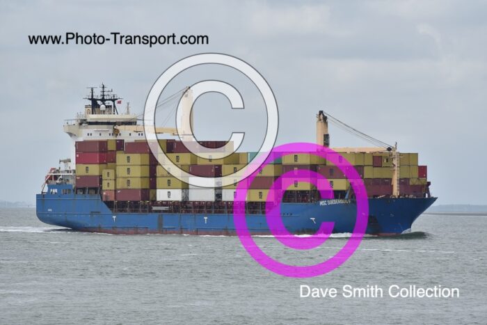 MSC SUEDEROOG F  - Container