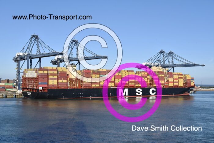 MSC ROME - Container