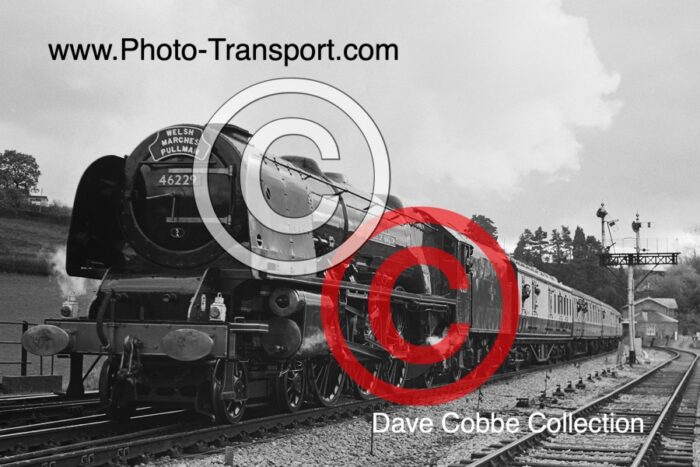 LMS Princess Coronation Class 4-6-2 No.46229 Duchess of Hamilton on The Welsh Marches Express passing Pontrilas - 31.10.1982