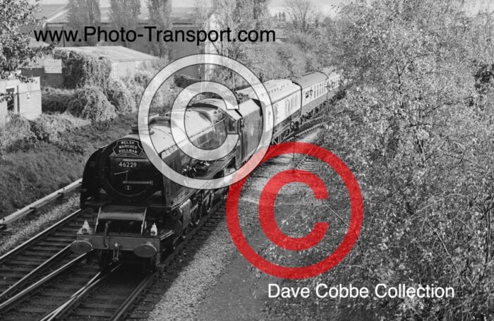 LMS Princess Coronation Class 4-6-2 No.46229 Duchess of Hamilton on The Welsh Marches Express approaching Hereford - 31.10.1982